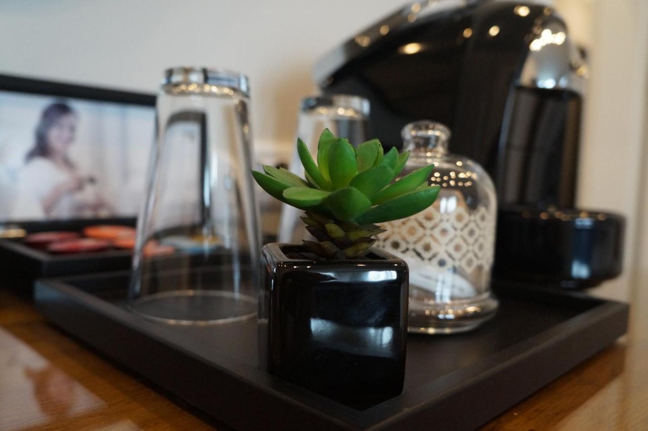 בורגאס Hotel Residence Promenade מראה חיצוני תמונה A succulent plant in a hotel room