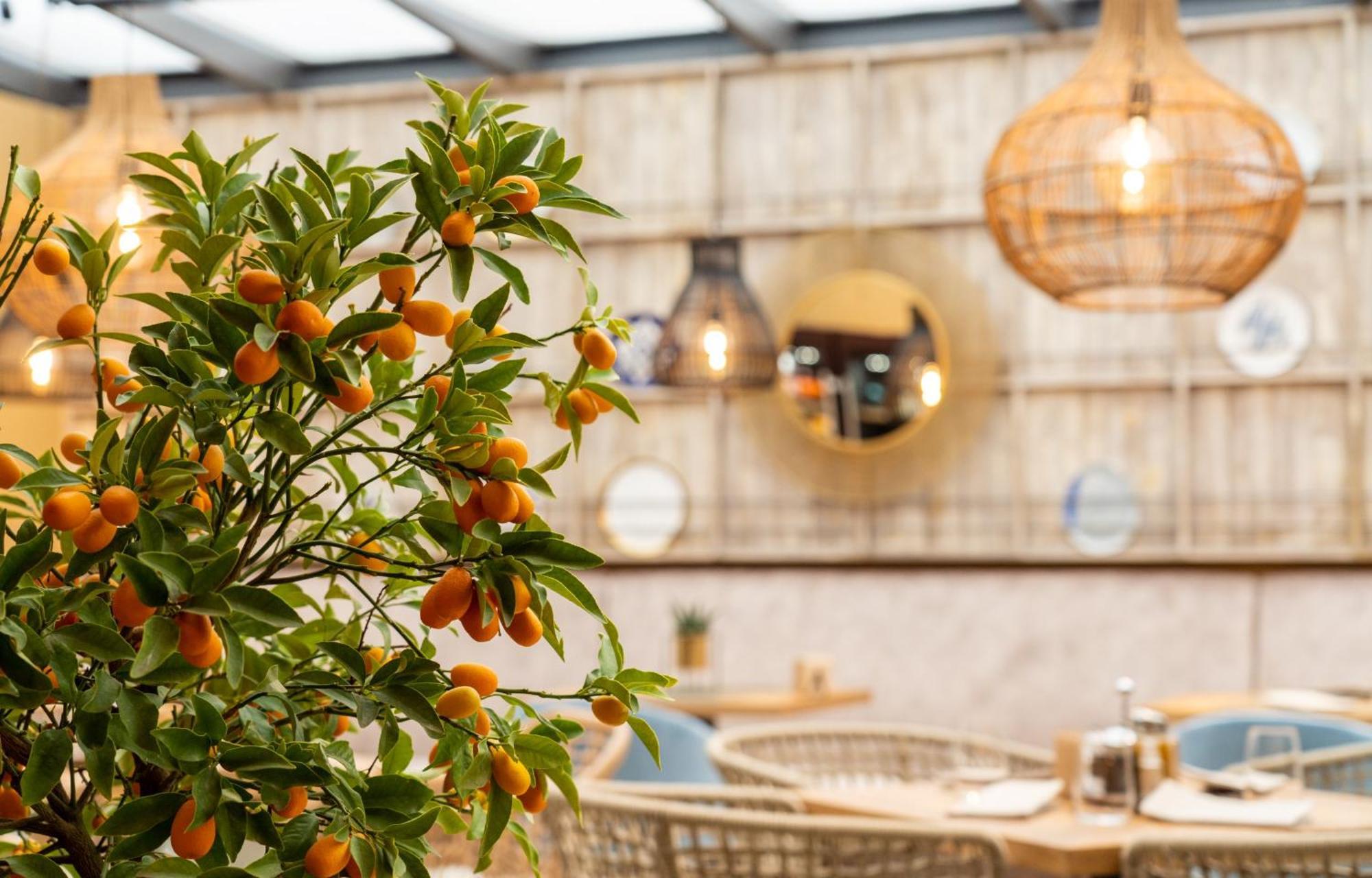בורגאס Hotel Residence Promenade מראה חיצוני תמונה Restaurant